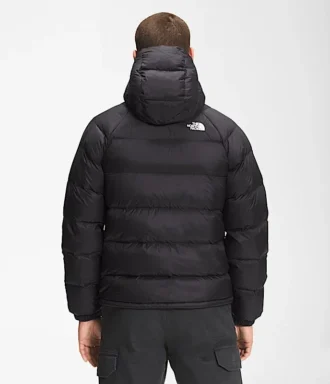 Hoodie en duvet Hydrenalite™ pour homme