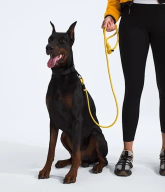 Laisse pour animaux TNF™