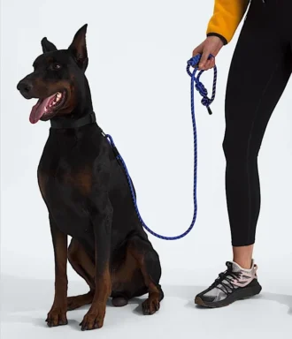 Laisse pour animaux TNF™