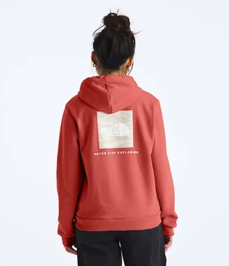 Sweat à capuche Evolution Box NSE Fill Light pour femme — Graphique