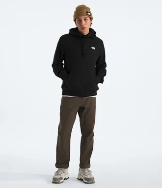 Sweat à capuche Evolution Simple Dome Regular pour homme