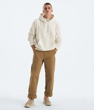 Sweat à capuche Evolution Simple Dome Regular pour homme