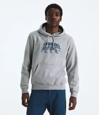Sweat à capuche Evolution TNF™ Bear pour homme — Graphique