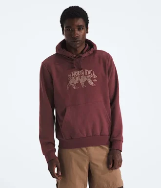 Sweat à capuche Evolution TNF™ Bear pour homme — Graphique