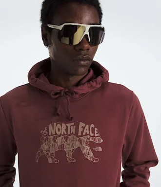 Sweat à capuche Evolution TNF™ Bear pour homme — Graphique