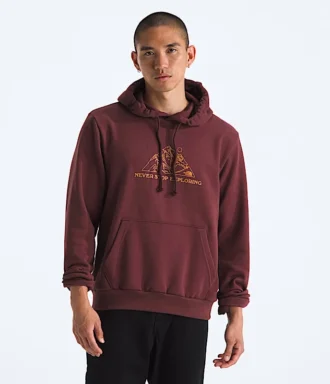 Sweat à capuche Evolution TNF™ MTN pour homme — Graphique