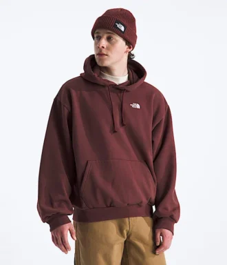 Sweat à capuche oversize Evolution Simple Dome pour homme