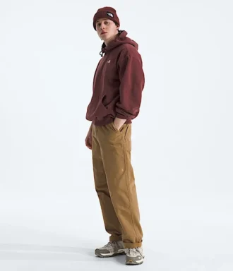 Sweat à capuche oversize Evolution Simple Dome pour homme