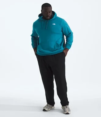 Sweat à capuche simple Big Evolution pour homme