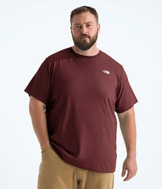 T-shirt à manches courtes Big Evolution Simple Dome pour homme