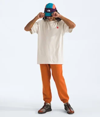 T-shirt à manches courtes TNF Red Box Kilimanjaro Heavyweight pour homme