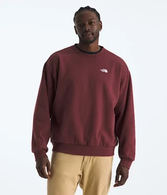 T-shirt oversize à col rond Evolution Simple Dome pour homme